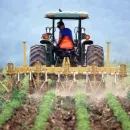 Томский студент разрабатывает новые сельскохозяйственные машины для обработки почвы